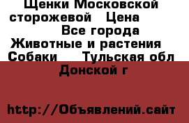 Щенки Московской сторожевой › Цена ­ 35 000 - Все города Животные и растения » Собаки   . Тульская обл.,Донской г.